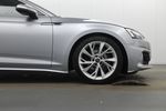 Image 16