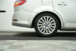 Image 19