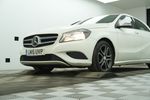 Image 13