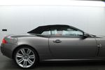 Image 13