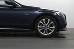 Image 16