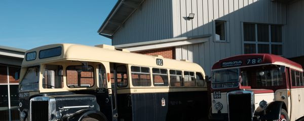 Vintage Buses