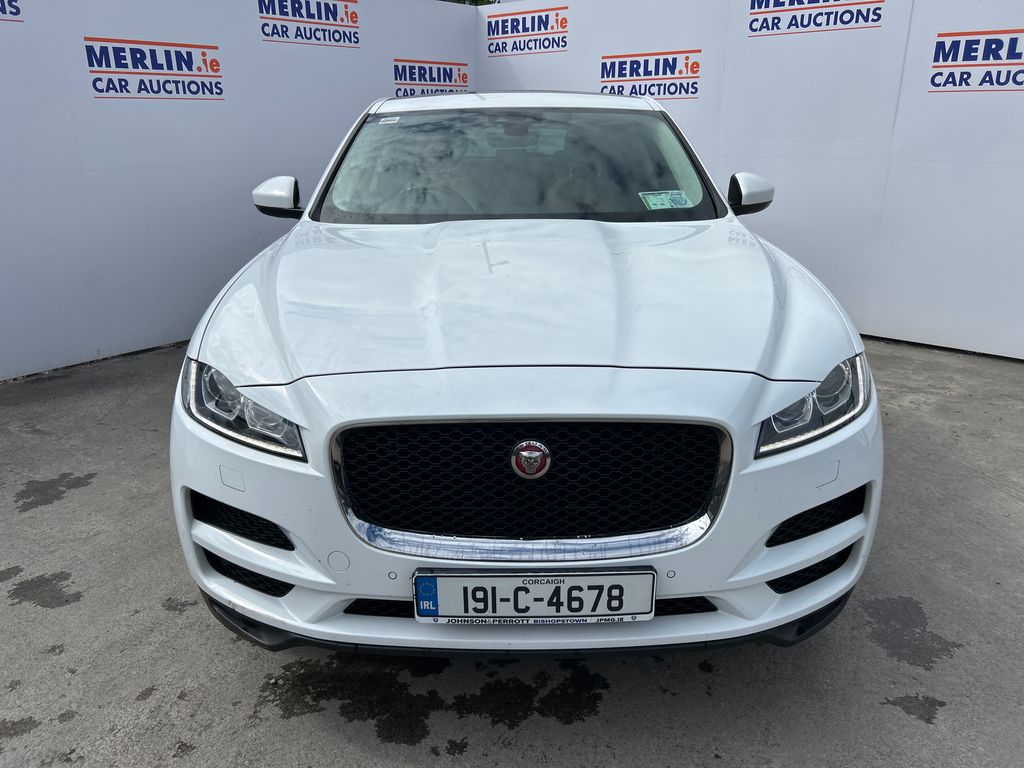 Car Auction