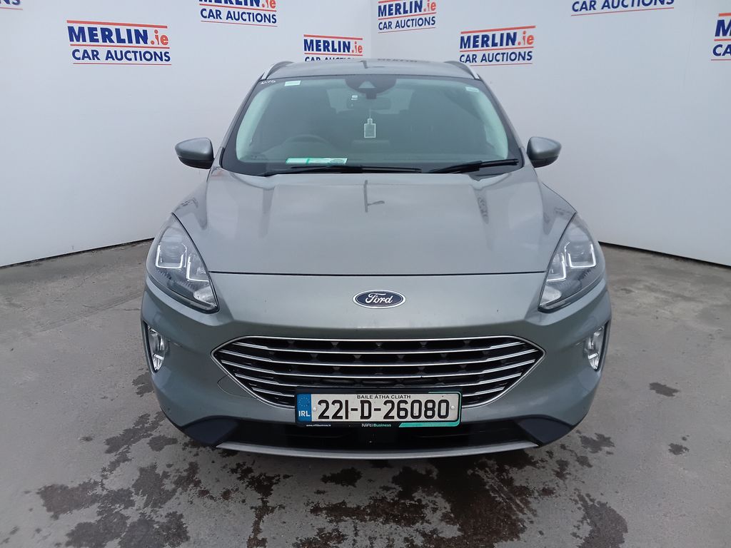 Car Auction