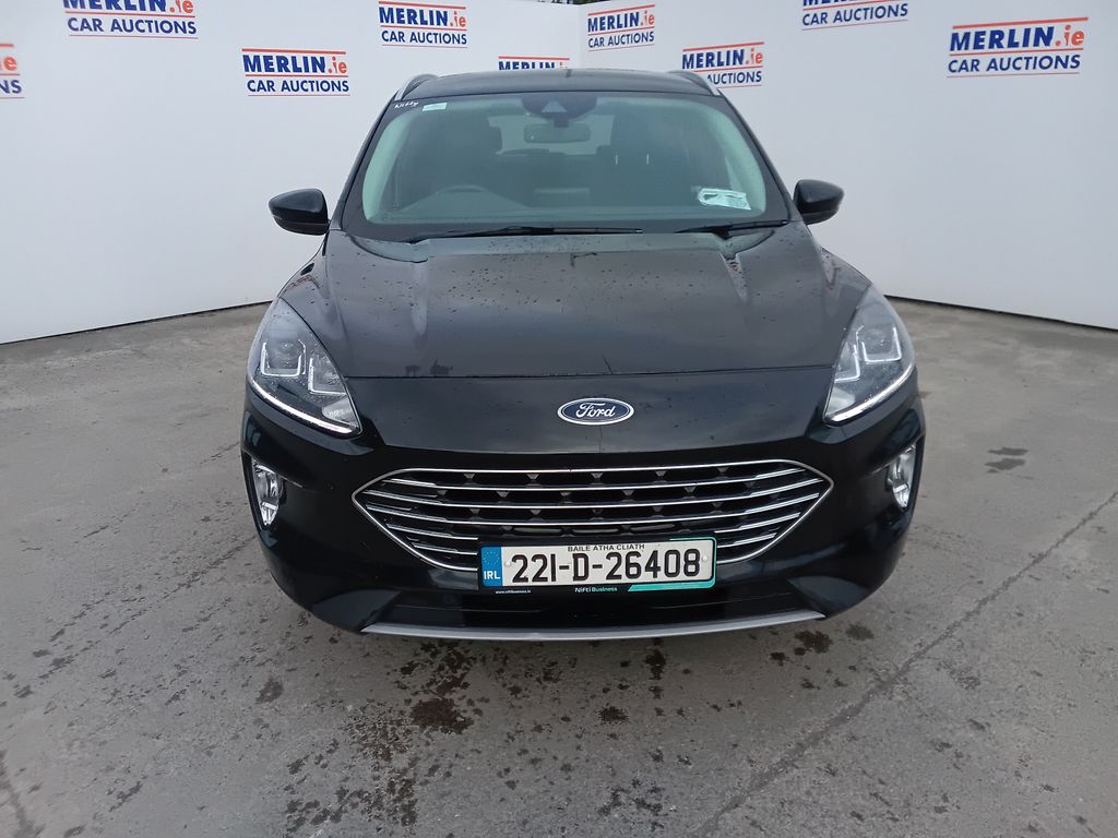 Car Auction