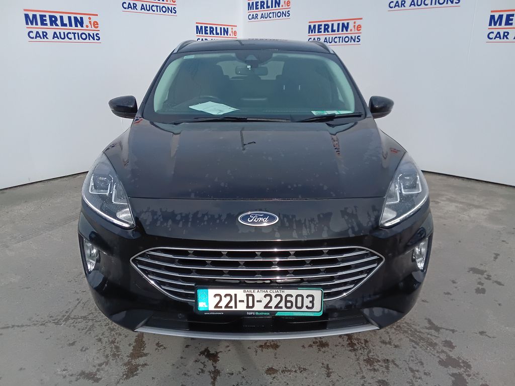 Car Auction
