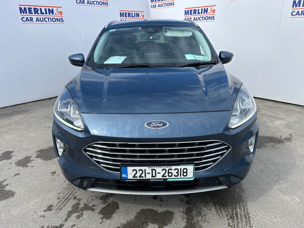 Car Auction