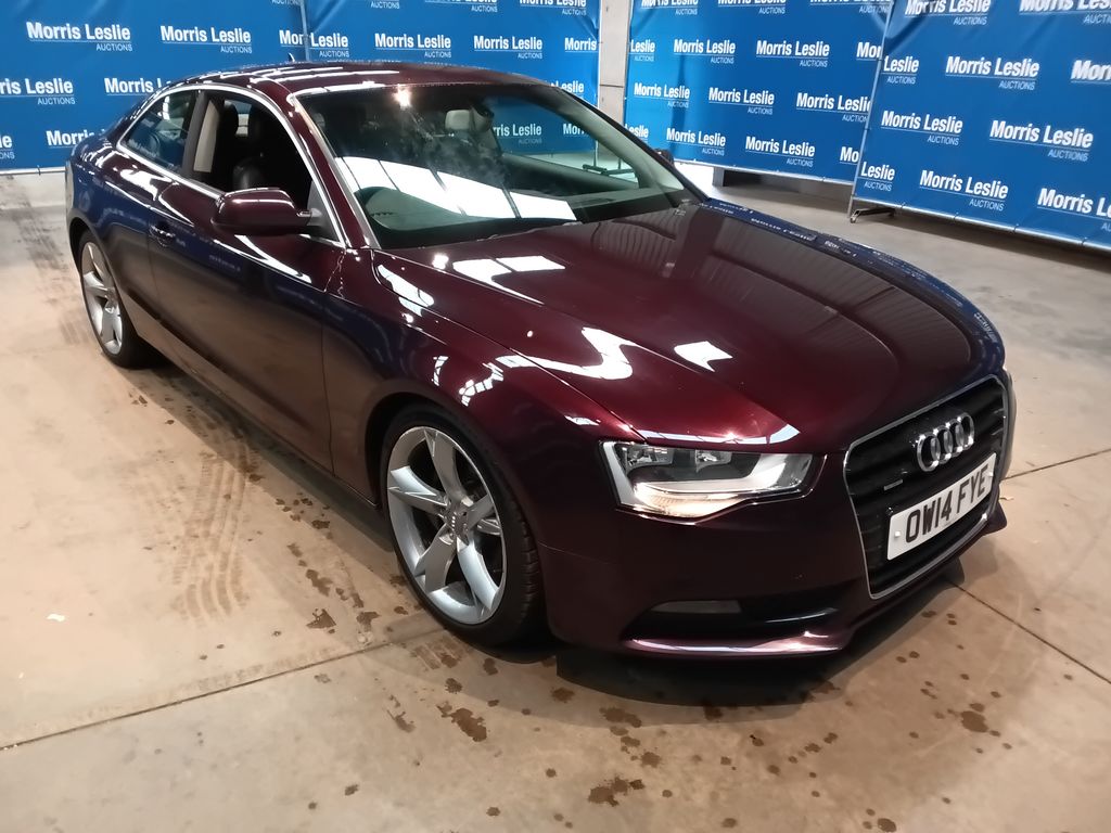 Car Auction