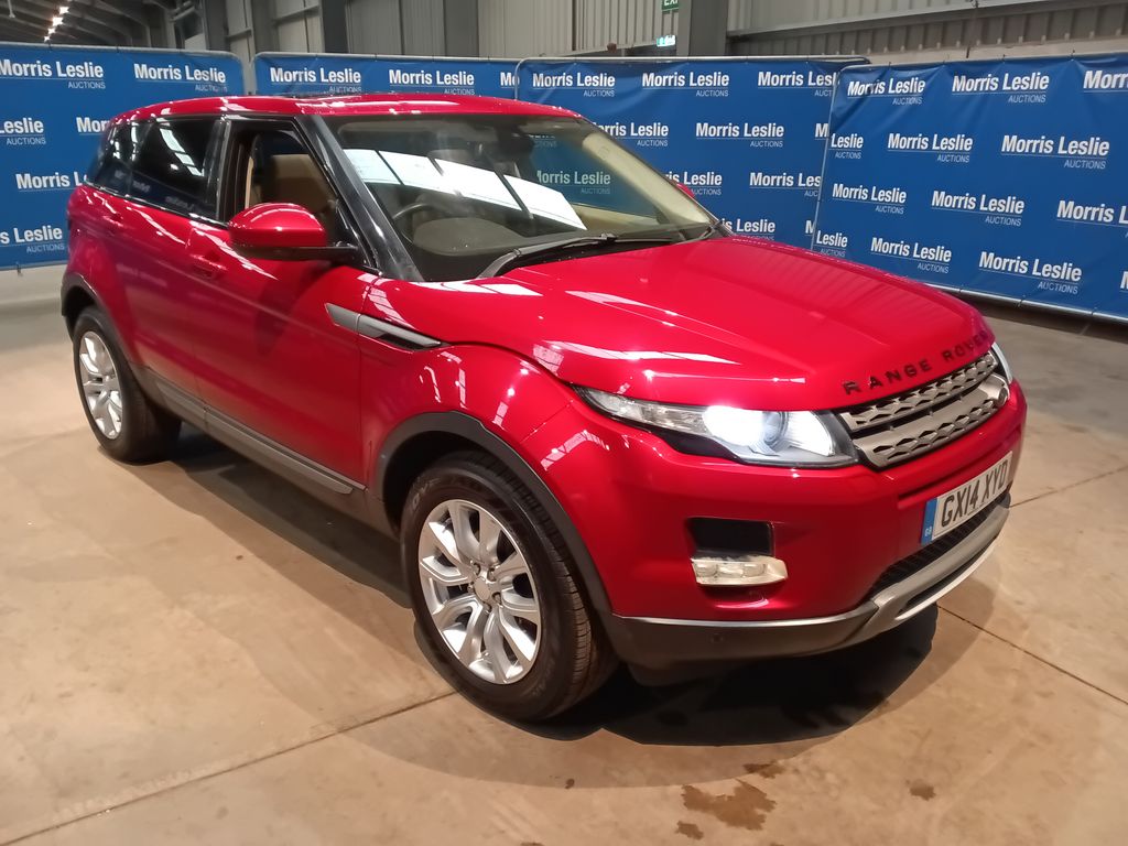 Car Auction