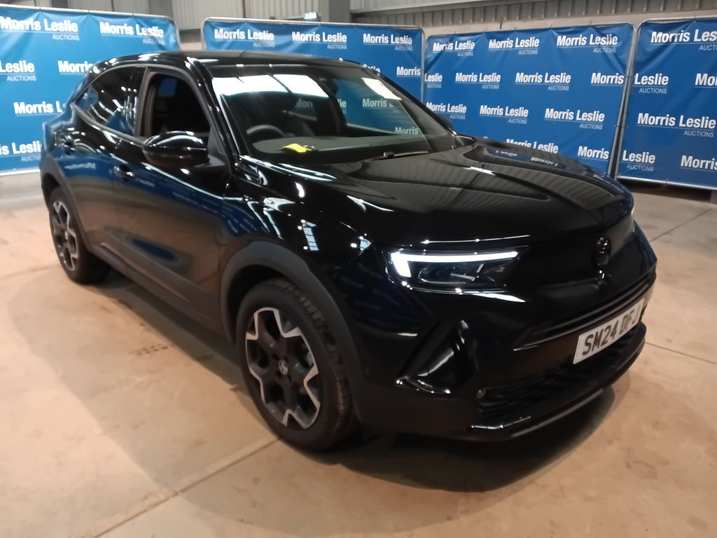 Car Auction