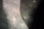 Image 31